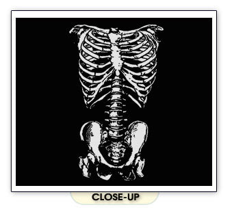 Skeleton Front – Donnie Darko Bones Costume Emo T-Shirt