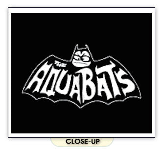 AQUABATS ska blink 182 travis barker punk band SHIRT