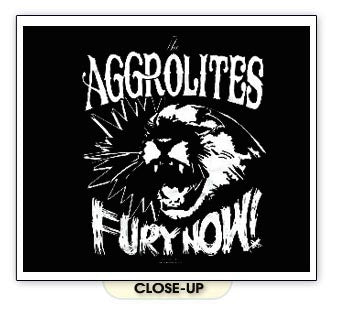 AGGROLITES FURY NOW reggae ska give em the boot SHIRT