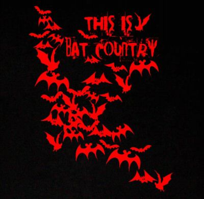 THIS IS BAT COUNRY fear & loathing cult film rare SHIRT