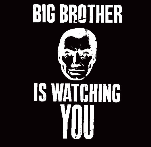 BIG BROTHER IS WATCHING YOU 1984 novel government SHIRT