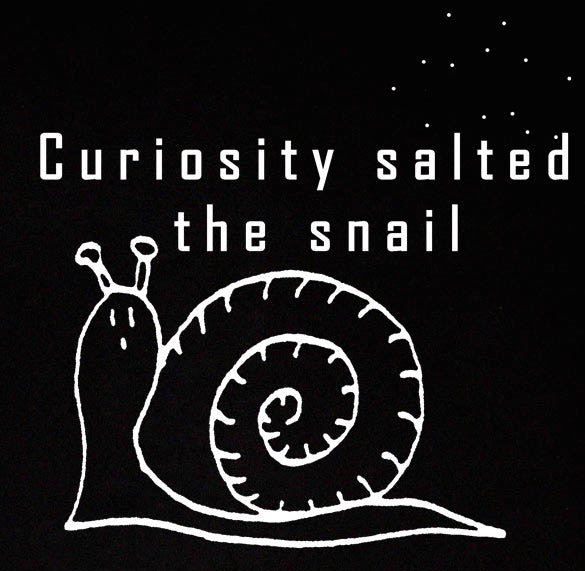 CURIOSITY SALTED THE SNAIL funny bug joke humor SHIRT