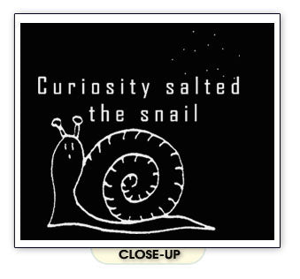 CURIOSITY SALTED THE SNAIL funny bug joke humor SHIRT