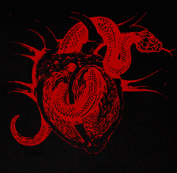 SNAKE HEART style fashion rock metal cool rad BR SHIRT