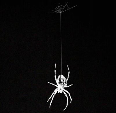 SPIDER ON SHOULDER spooky web bug funny emo scary SHIRT